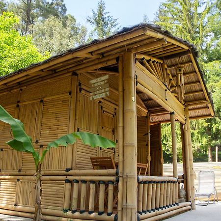 Suite Bambou Bien-Etre A Bali - Le Soleil Des Cevennes Saint-Jean-du-Gard Dış mekan fotoğraf