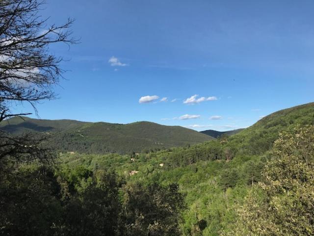 Suite Bambou Bien-Etre A Bali - Le Soleil Des Cevennes Saint-Jean-du-Gard Dış mekan fotoğraf