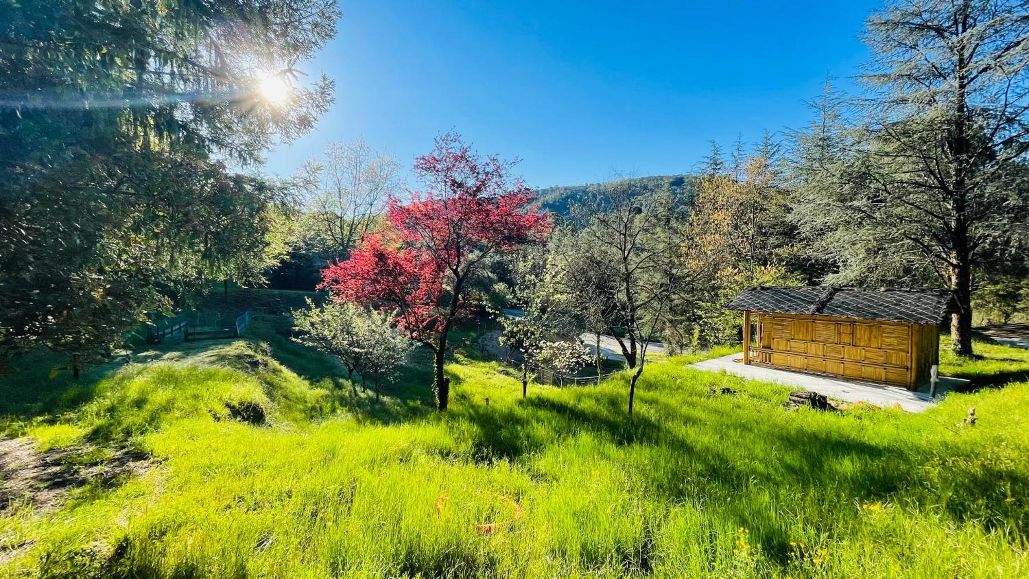 Suite Bambou Bien-Etre A Bali - Le Soleil Des Cevennes Saint-Jean-du-Gard Dış mekan fotoğraf