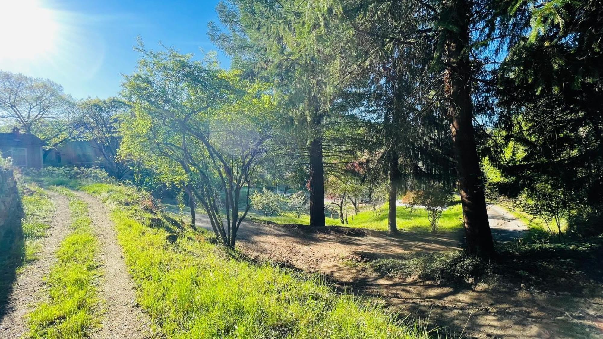 Suite Bambou Bien-Etre A Bali - Le Soleil Des Cevennes Saint-Jean-du-Gard Dış mekan fotoğraf